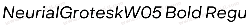 NeurialGroteskW05 Bold Regular字体转换